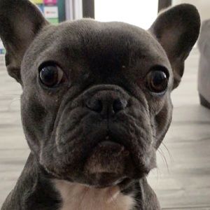 Meet your Posher, Jason